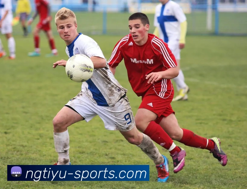 App Interface Preview